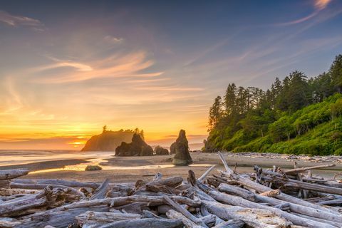 olimpiai nemzeti park, washington, USA