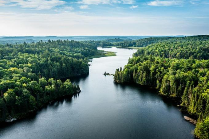 természet feliratok