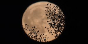 Harvest Moon felkel Somerset fölé