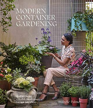 Modern konténerkertészet: Hogyan hozzunk létre stílusos kisméretű kertet bárhol