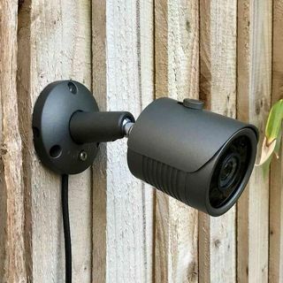 RSPB Garden vadon élő kamera - új