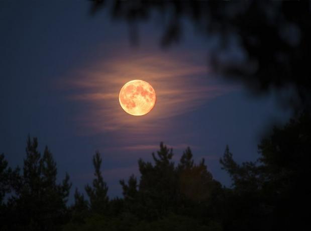 Mi az a Hunter's Hold? A szép történet az októberi telihold mögött