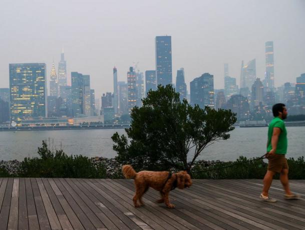 ember sétáltatja a kutyáját rossz levegőminőség alatt