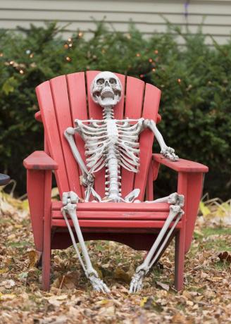 boldog csontváz ül egy széken
