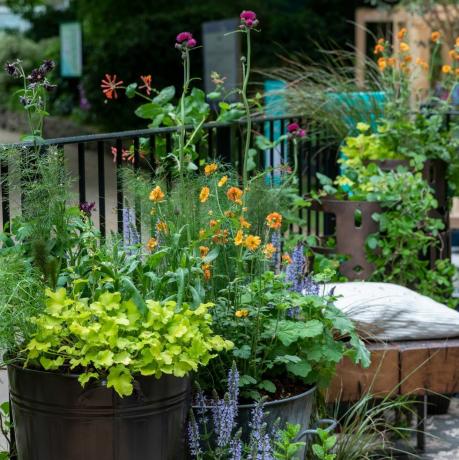 chelsea virágbemutató 2023 kertészeti kerttervező konténer és erkély