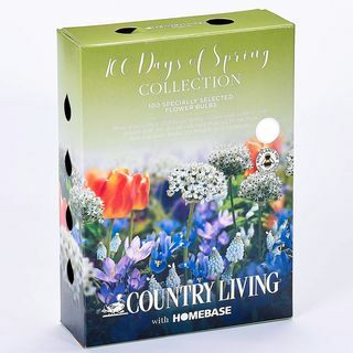 Country Living 100 Days of Spring Virághagyma kollekció