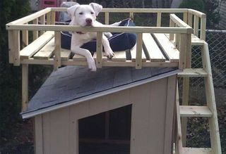 Kutya ház tető fedélzettel