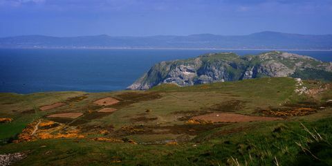 nagy orme wales