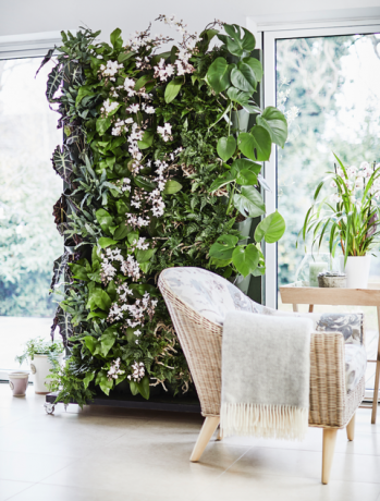 Dobbies Living Wall Planters