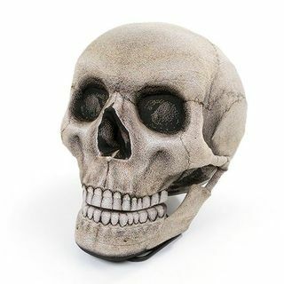 Ezt az óriási koponyababzsákot készült, hogy üljön és nézzen Halloween filmeket