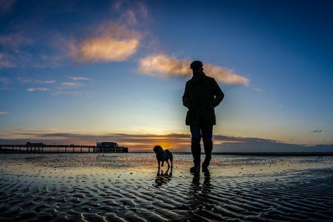 Férfi séta a kutya a homokos strandon