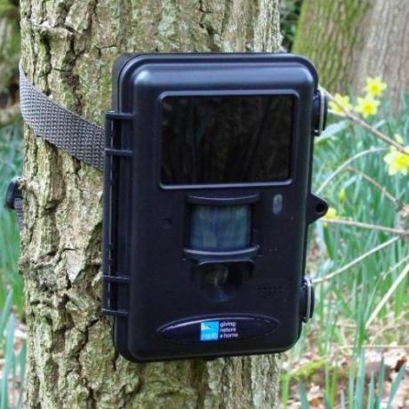 RSPB Nature kamera