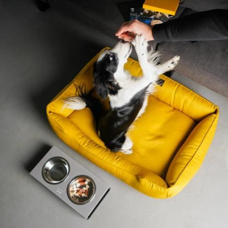 SÁRGA Kutyaágy levehető huzattal fényes kutyafészek MUSTÁR XS - Xxl méretű matrac kutyának, Ajándék kutyatartóknak