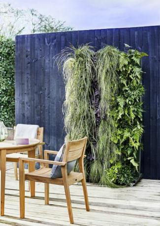 Dobbies Living Wall Planters