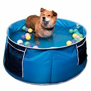 Cool Club kutya pancsoló medence kék