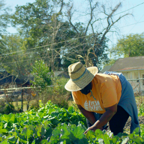 germain jenkins a farmján