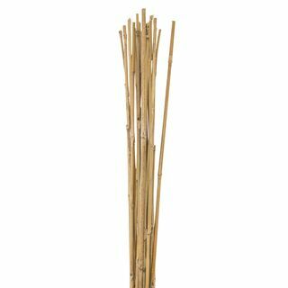 Bambusz vesszők