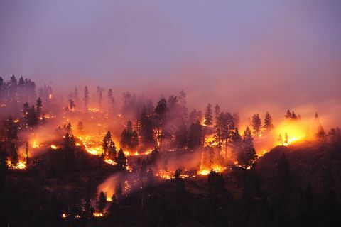 Egy erdős tűz, amely egy hegy oldalán égette a montanai hegyvidéket.