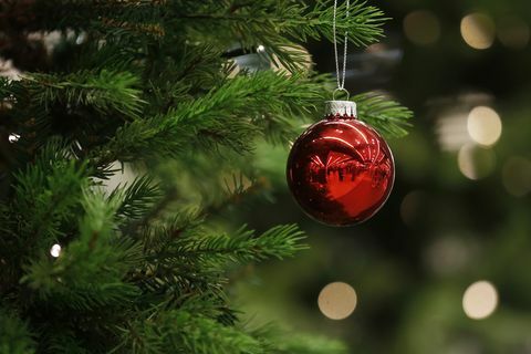 Egy karácsonyi csecsebecse lóg egy fán