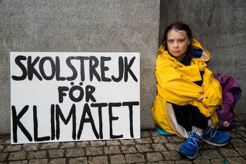 Greta Thunberg portrék