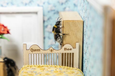 nagyon jó okkal indul az Egyesült Királyságban egy kis nyugdíjas otthon a méhek számára