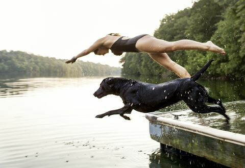 Kutya úszás