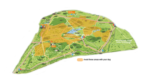 a királyi parkok feltérképezik a szarvasok miatt kerülendő területek térképét