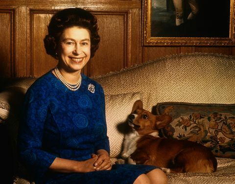 Meghan Markle kutya elmegy Elizabeth királynővel Windsorba