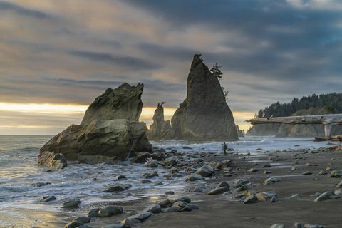 ember a rialto beach, Villa, washington, USA