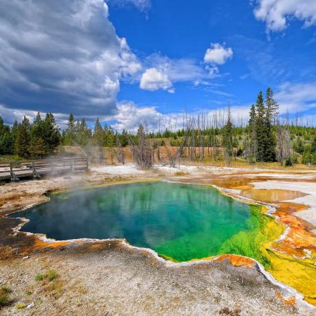 gejzír yellowstone természetben és tájban