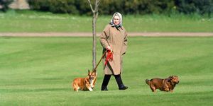 Windsor, Egyesült Királyság április 2. II. Erzsébet királynő kutyáit sétáltatja a windsori kastélyban, 1994. április 2-án, windsori, Egyesült Királyság fotója: julian parkeruk press via getty images