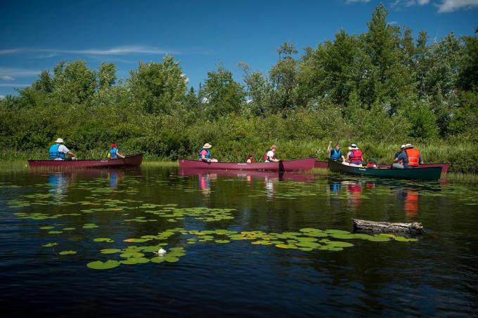 Tükröződés, Csónak, Csónakázás, Szabadtéri kikapcsolódás, Vízijárművek, Skiff, Tó, Tó, Evezés, Kenu, 