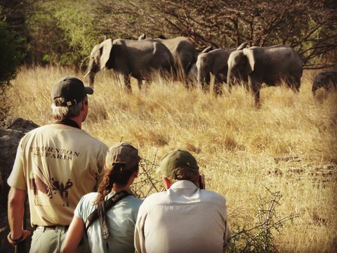 Utazók a Nagy Serengeti Traverse-n 